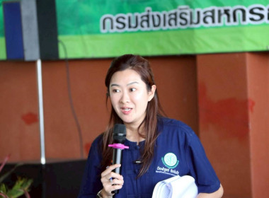 รัฐมนตรีช่วยว่าการกระทรวงเกษตรและสหกรณ์ ... พารามิเตอร์รูปภาพ 14
